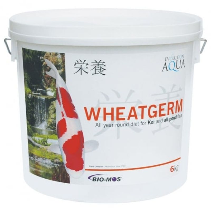 WHEATGERM 6000G (5-6MM/MEDIUM)