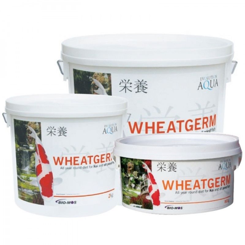 WHEATGERM 2000G (3-4MM/SMALL)