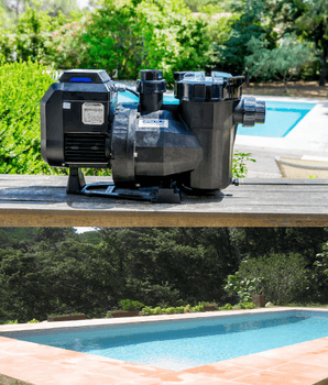 Hovedbilde BASSENG PUMPE