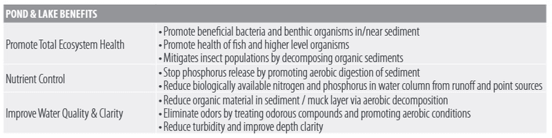 KINGFISH NANOBUBBLE GENERATOR