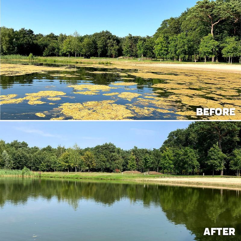 KINGFISH NANOBUBBLE GENERATOR