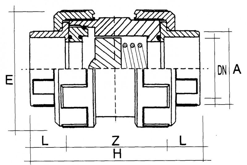 PVC Tilbakeslagsventil PTFE | Ø 20mm PN 16