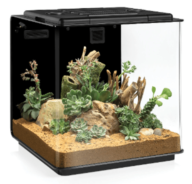 Hovedbilde BIORB EARTH TERRARIUM