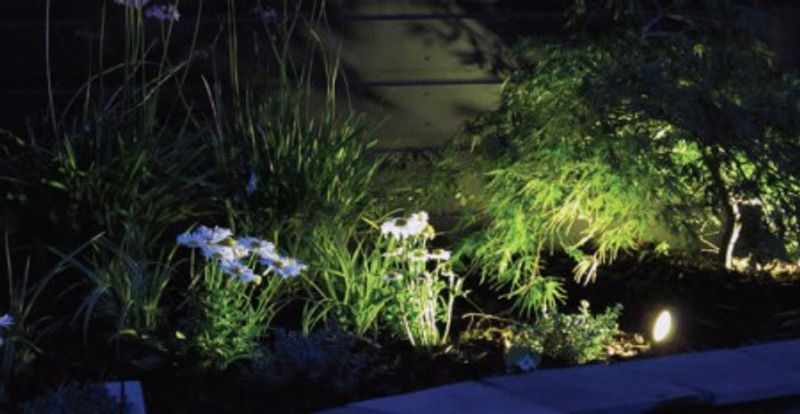 Ledlys Aquaforte | 12W 3 STK