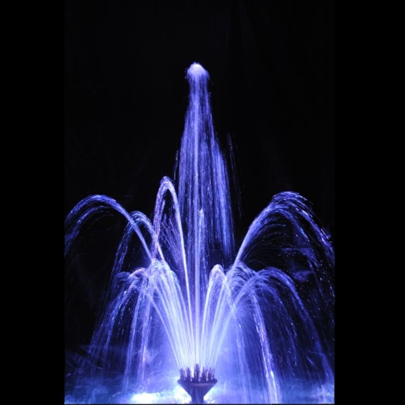 Special Crown | Fontenedyse