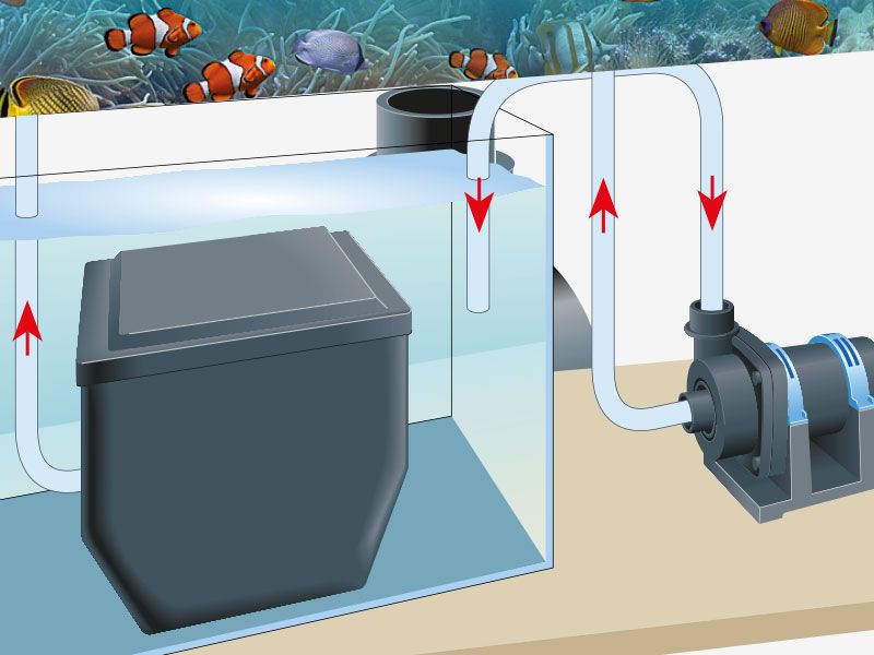 Titan-Tec 13 000 | Saltvannspumpe